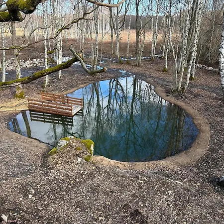 Lepikumaee With Sauna And Hot Tub For Up To 18 Persons Reina