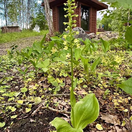 Lepikumaee With Sauna And Hot Tub For Up To 18 Persons