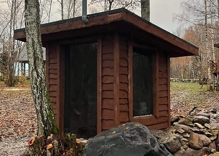 Lepikumaee With Sauna And Hot Tub For Up To 18 Persons Reina