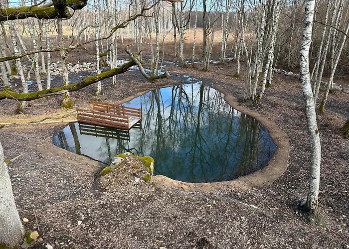 Lepikumaee With Sauna And Hot Tub For Up To 18 Persons Reina