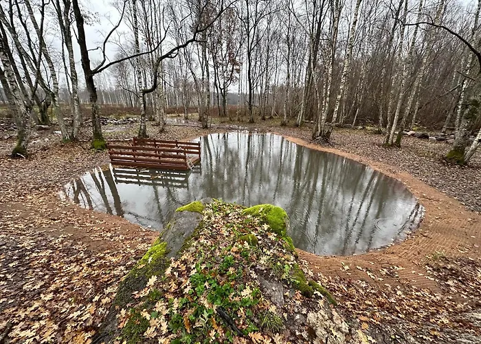 Lepikumaee With Sauna And Hot Tub For Up To 18 Persons Holiday home *